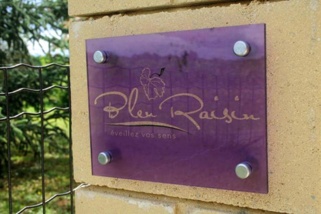Bed and Breakfast Bleu Raisin à Les Salles-de-Castillon Extérieur photo